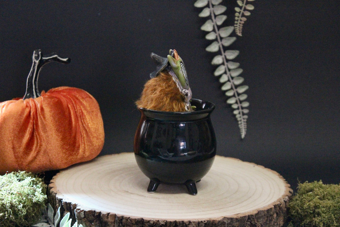 Winnie the teacup critter