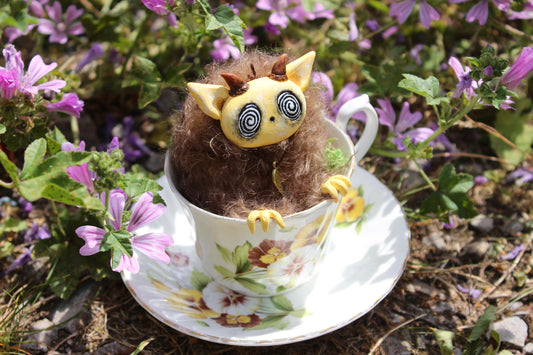 August the Teacup Critter