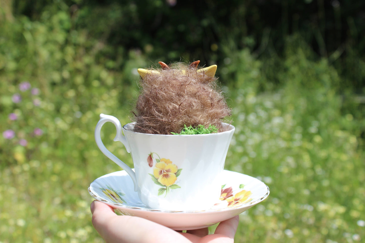 August the Teacup Critter