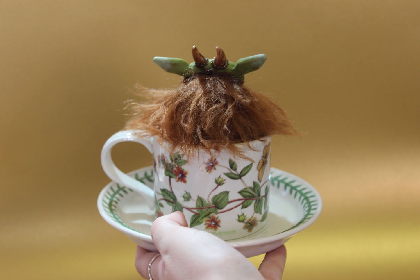 Acorn the Teacup Critter