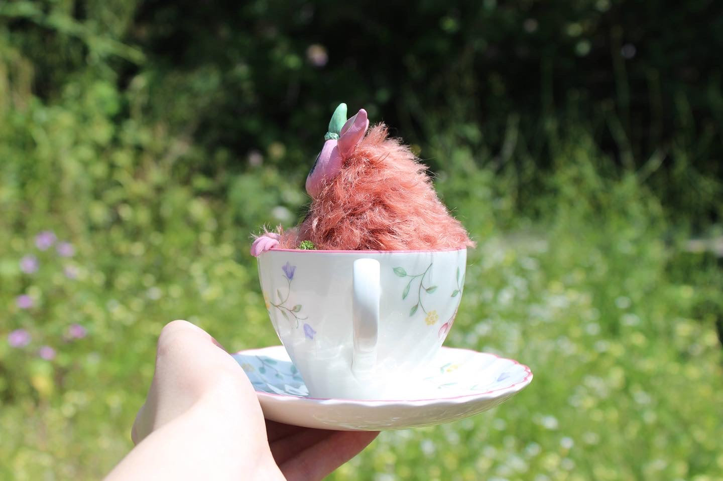 Petunia the teacup critter